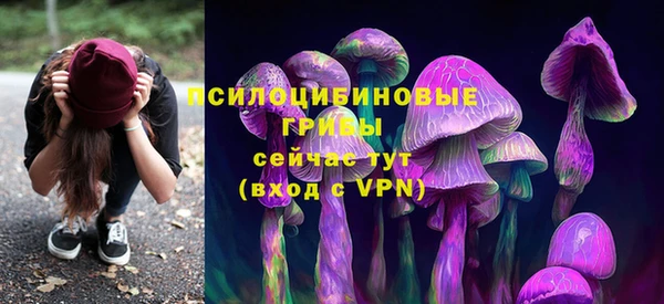 мяу мяу мука Богородск