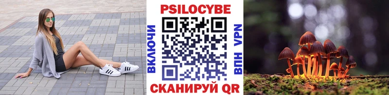 Псилоцибиновые грибы мицелий купить наркотик Борисоглебск